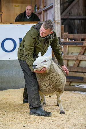 231104 Lairg Hill Show 017