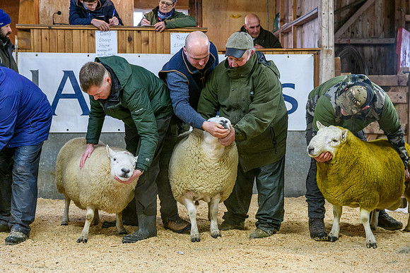 231104 Lairg Hill Show 018