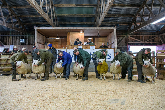 231104 Lairg Hill Show 019
