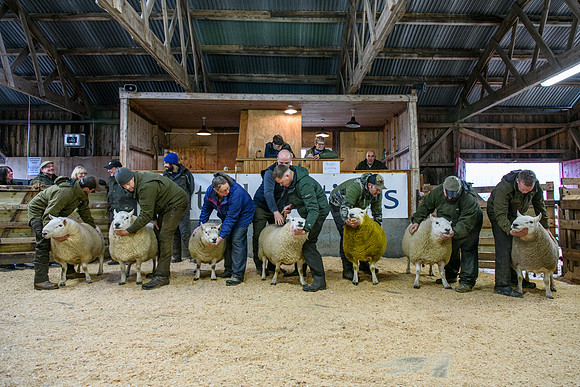 231104 Lairg Hill Show 021