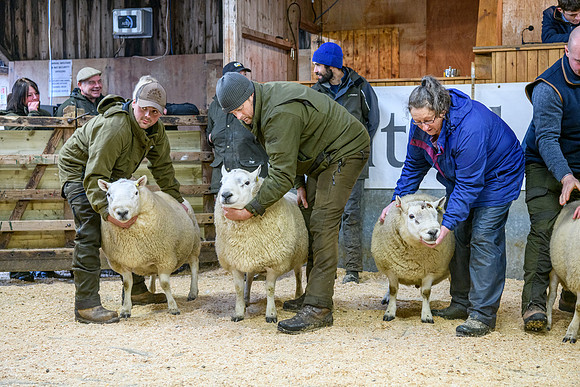 231104 Lairg Hill Show 022