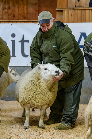 231104 Lairg Hill Show 024