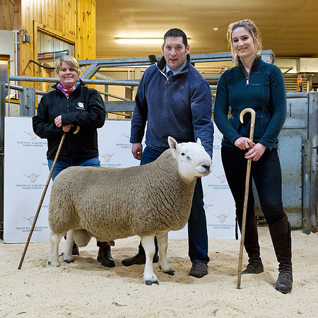 261018 Dingwall - Champion & Judges #2