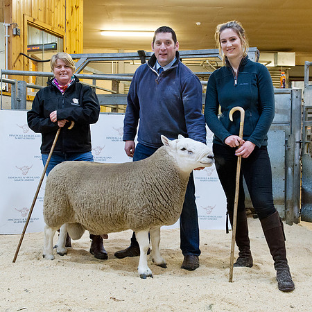 261018 Dingwall - Champion & Judges