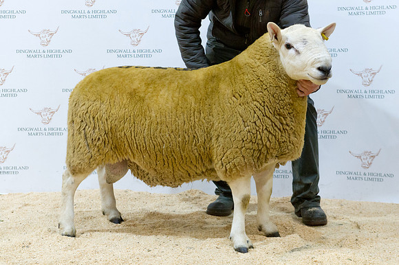 261018 Dingwall - Reserve Champion - Campbell Mill House