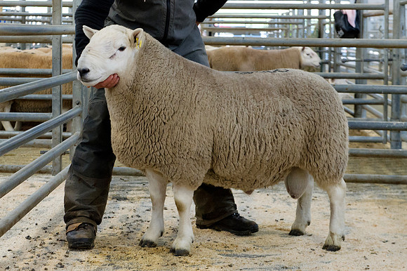 261018 Dingwall - Suisgill £3500