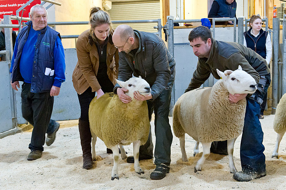 261018 Dingwall 023