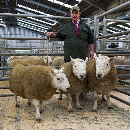 261018 Dingwall 115