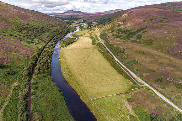 240820 Torrish 003