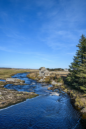 220319 Westerdale 018