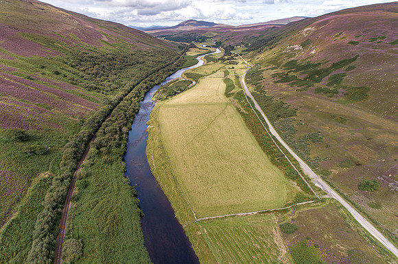 240820 Torrish 002