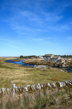 220319 Westerdale 012