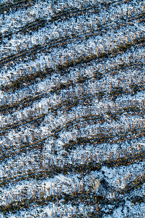 DJI_0093 copy