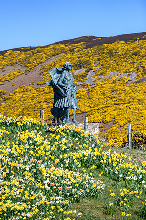 250407 Helmsdale 060