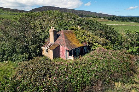 190627 Megan's Cottage 004