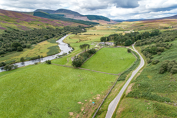 240820 Torrish 134