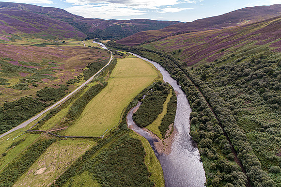240820 Torrish 031