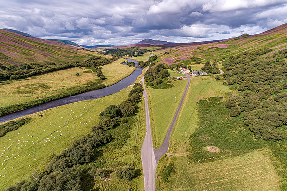 240820 Torrish 071