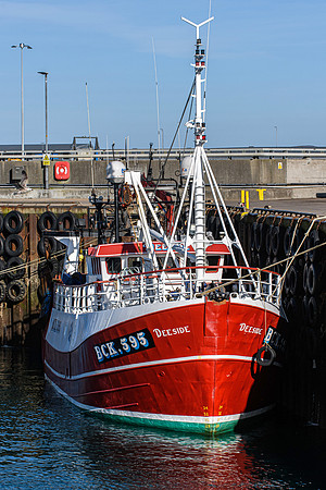220319 Scrabster 038