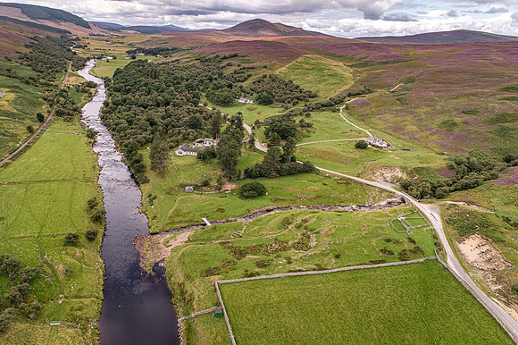 240820 Torrish 097