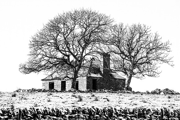 46 - Quoys