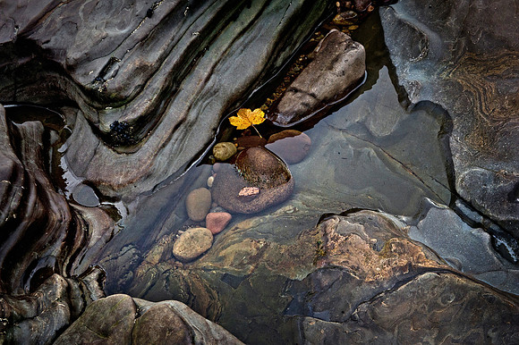 48 - Berriedale Rock Pool