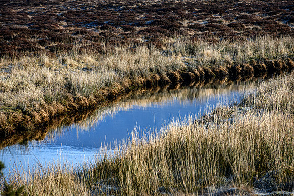 220321 Loch Loyal and Lettermore 052