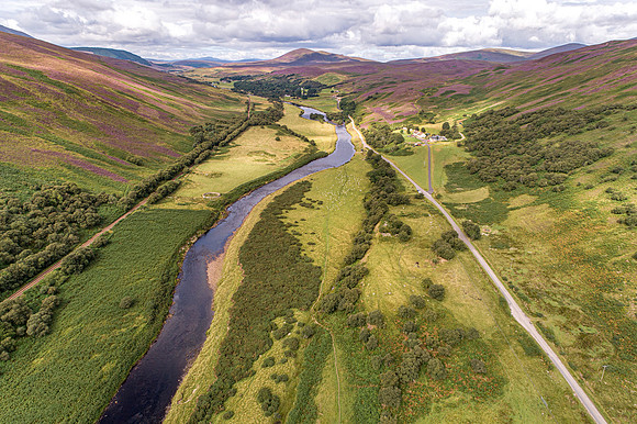 240820 Torrish 037