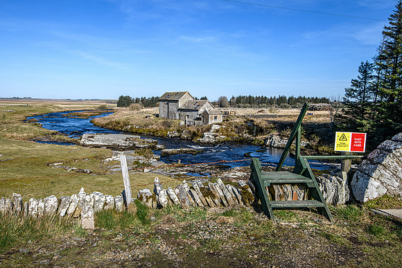 220319 Westerdale 014