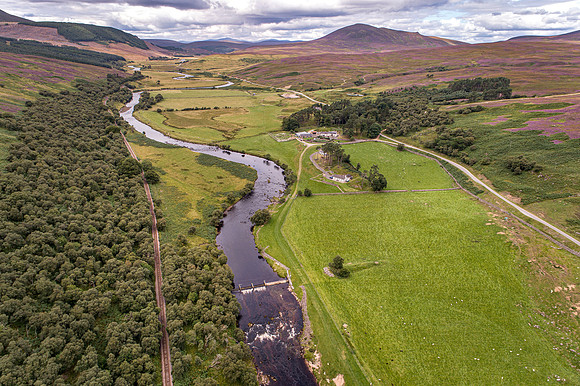 240820 Torrish 114