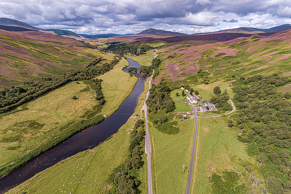240820 Torrish 073