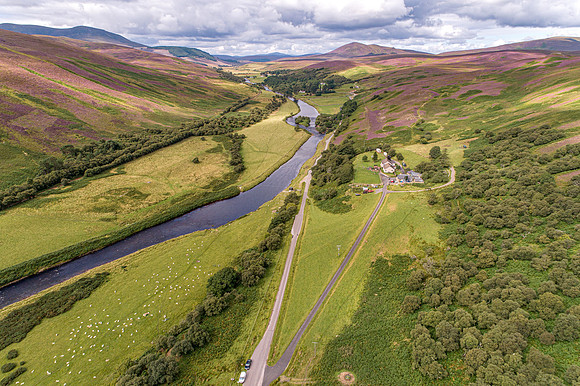 240820 Torrish 063