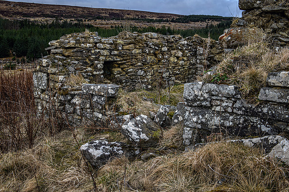 210320 Golsary 090