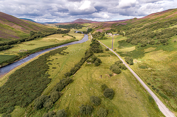 240820 Torrish 069