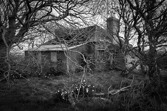 190415 Megan's Cottage 090