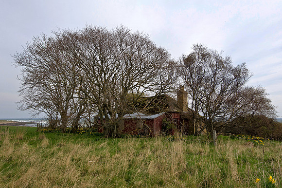 190415 Megan's Cottage 085