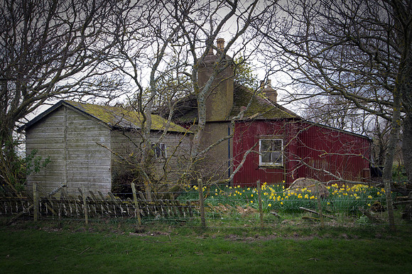 190415 Megan's Cottage 026