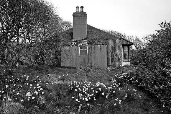 190415 Megan's Cottage 002