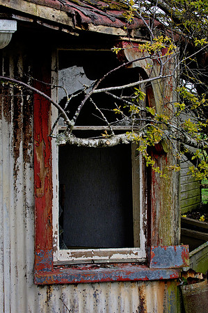 190415 Megan's Cottage 014