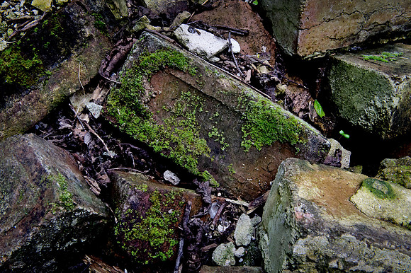 190415 Megan's Cottage 185