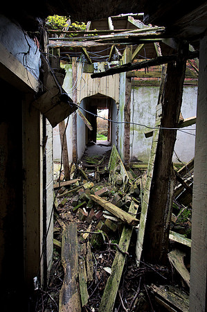 190415 Megan's Cottage 065
