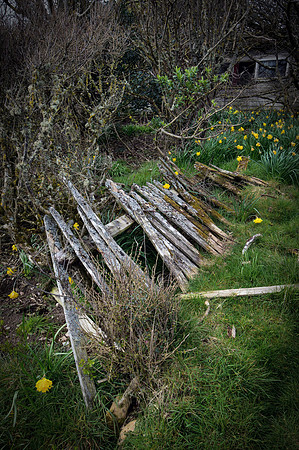 190415 Megan's Cottage 084