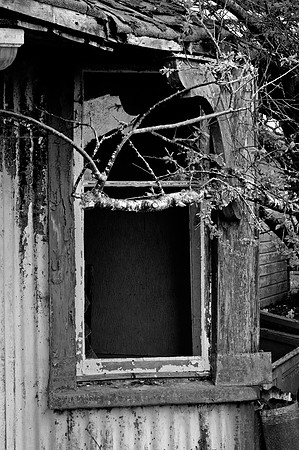190415 Megan's Cottage 015