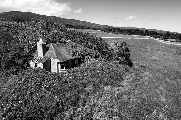 190627 Megan's Cottage 006