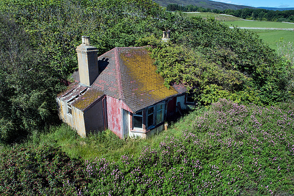 190627 Megan's Cottage 002