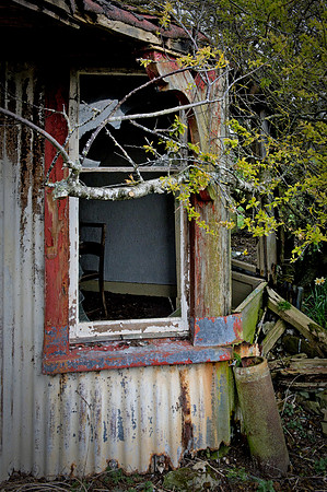 190415 Megan's Cottage 036