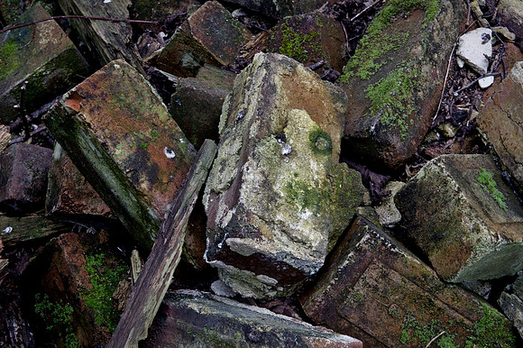 190415 Megan's Cottage 178