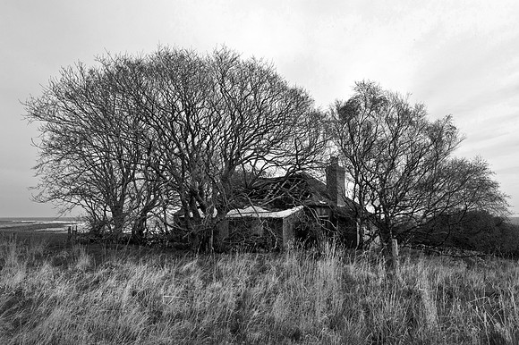 190415 Megan's Cottage 086