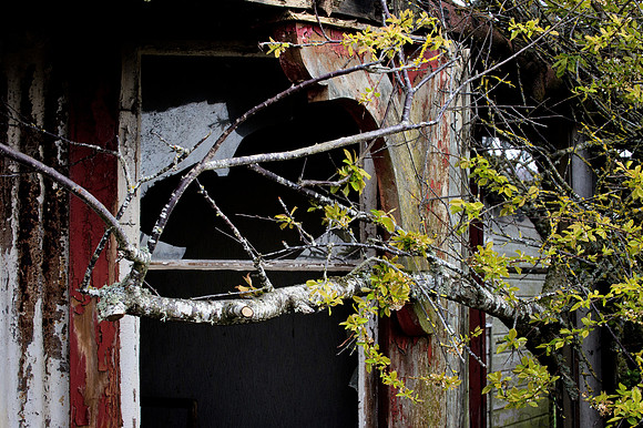 190415 Megan's Cottage 013