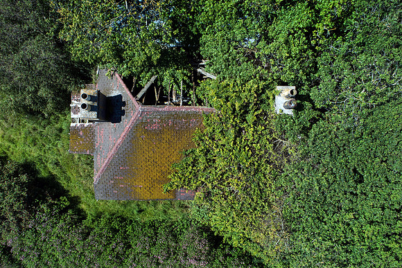 190627 Megan's Cottage 008